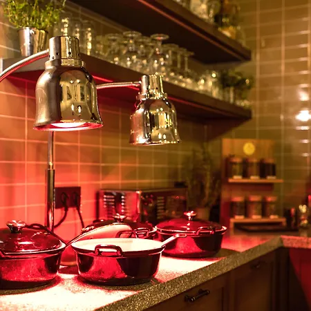 فندق De Vijsel 4*