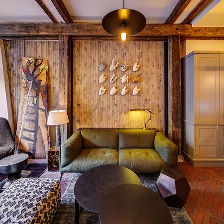 Hotel De Vijsel 4*