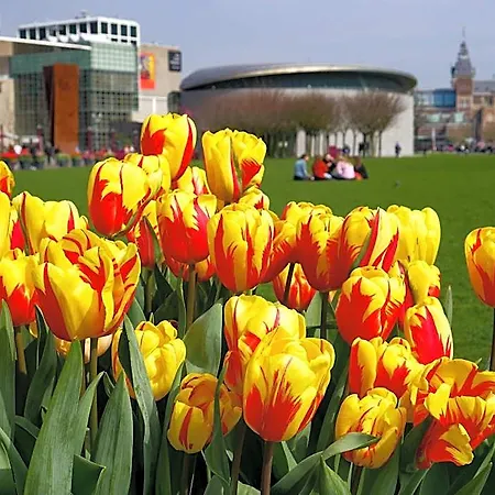 De Vijsel Hotel Amsterdam